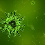 Coronavirus disease 2019