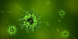 Coronavirus disease 2019