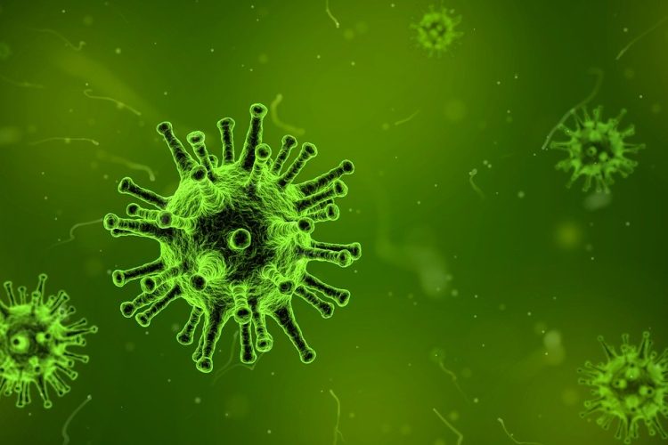 Coronavirus disease 2019